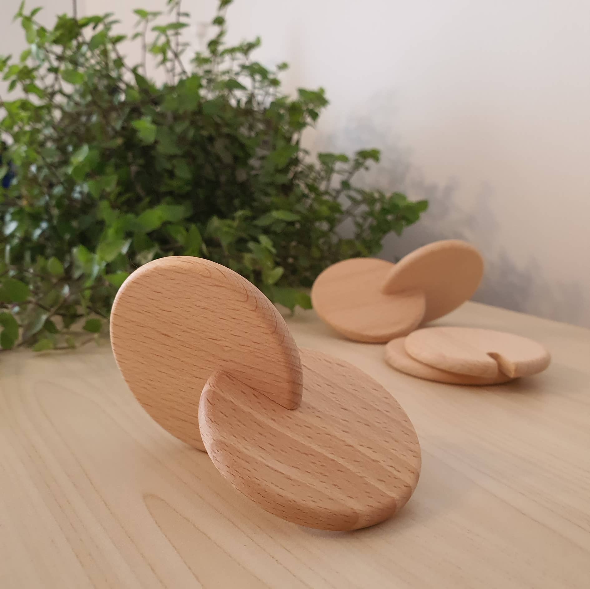 Interlocking Disc – NavyBaby