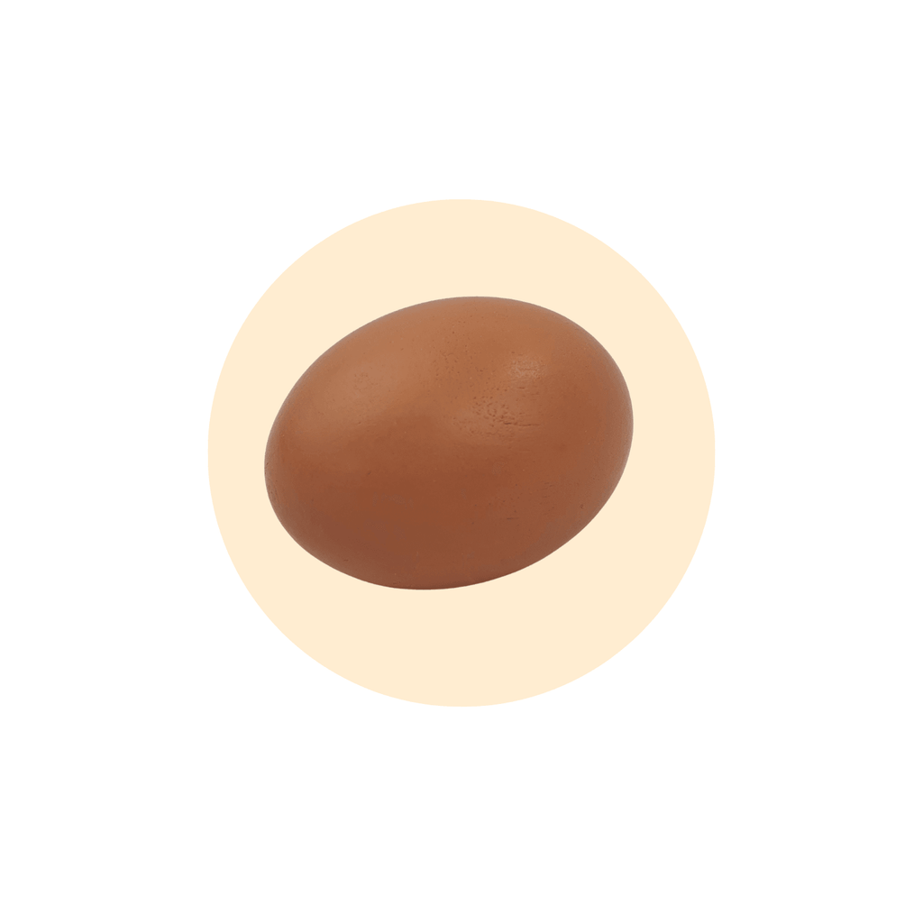 Painted Chicken Egg - NavyBaby